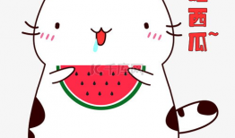 带你吃瓜爆料表情包下载,趣味横生的网络潮流