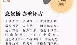 琵琶行动漫,穿越时空的旋律传奇